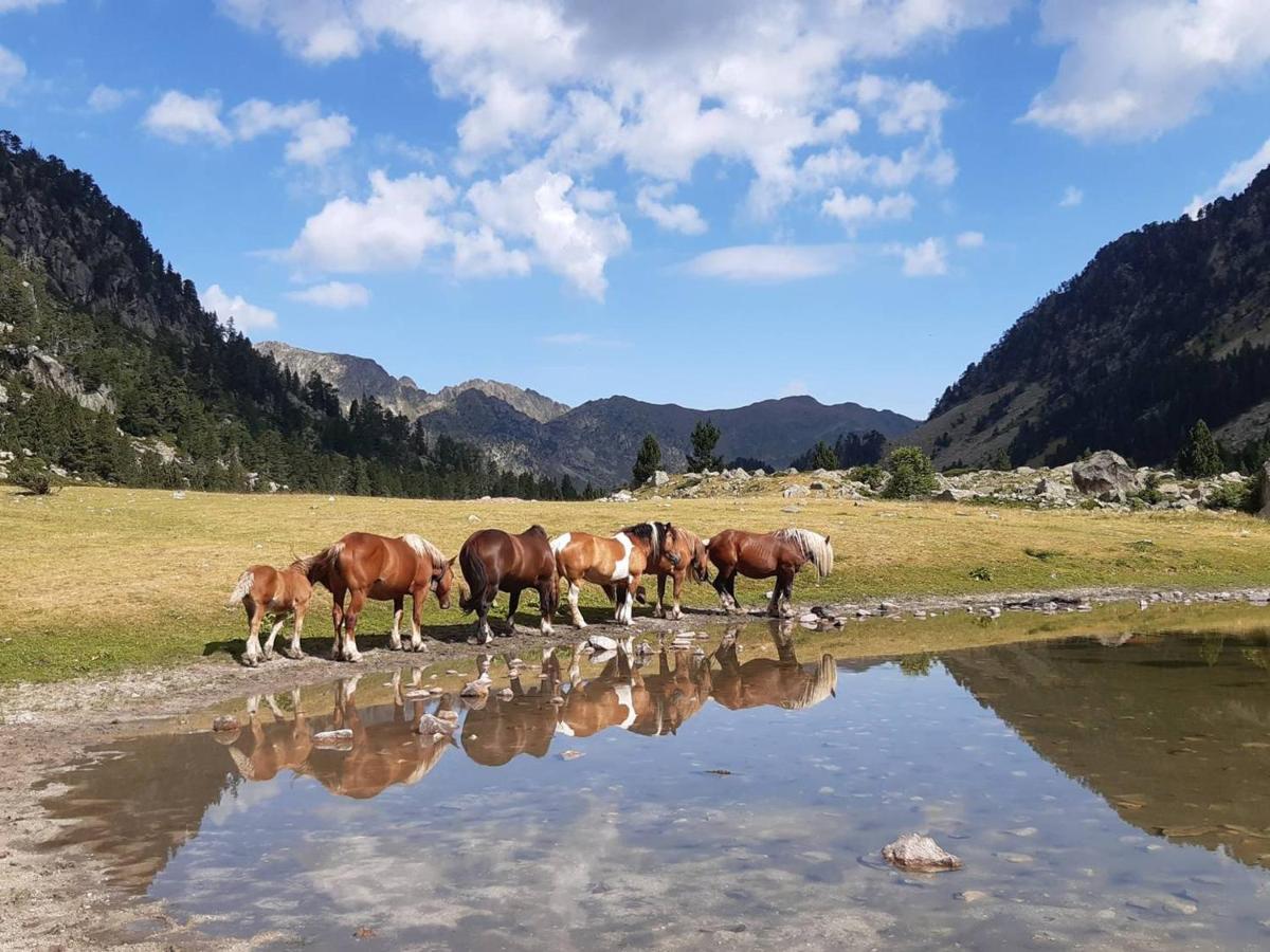 Studio Cosy Avec Balcon, Parking Et Coin Nuit Separe - 4 Couchages A Cauterets - Fr-1-234-249 外观 照片